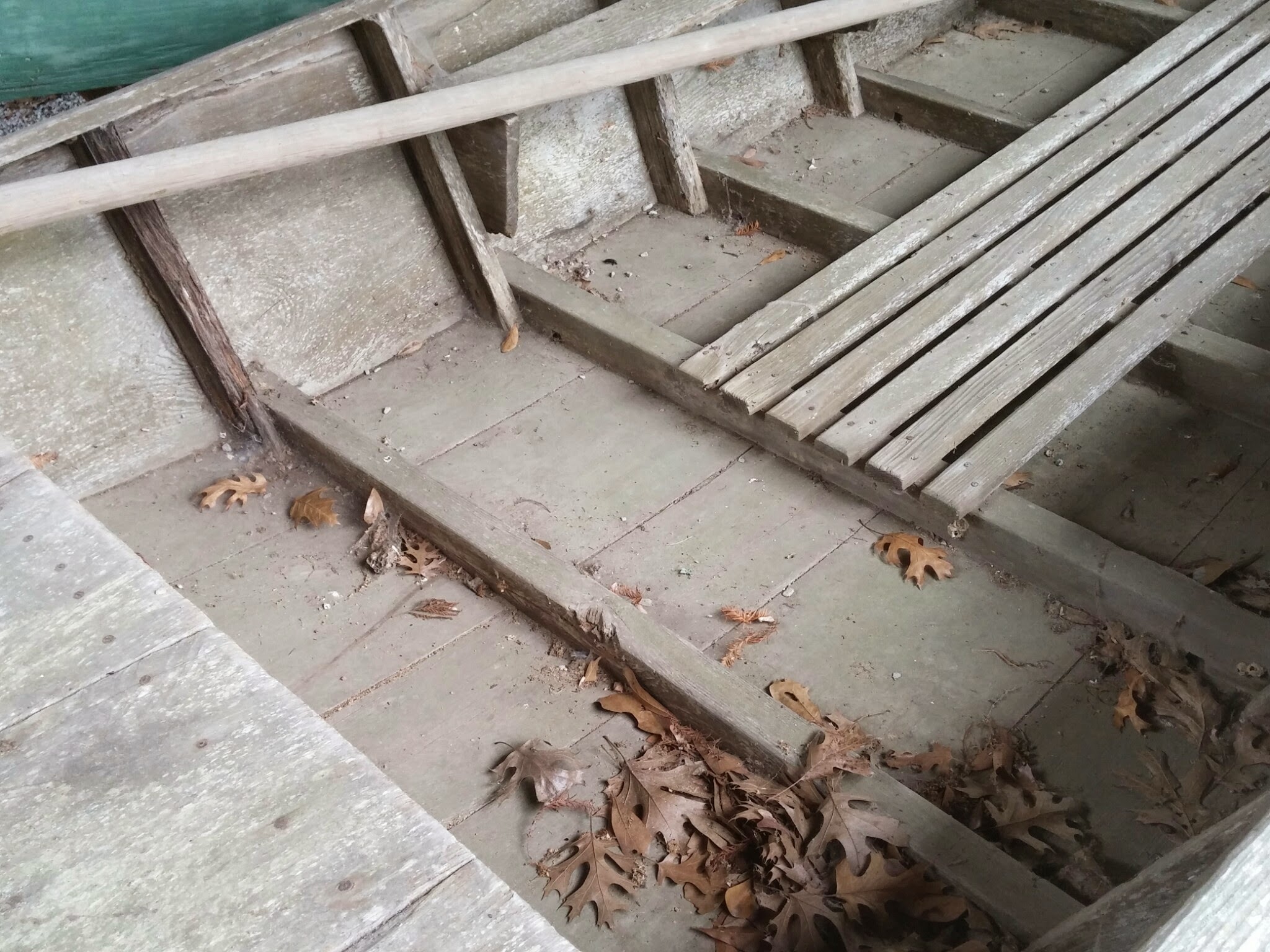 The hollowed hull of a cypress pirogue
