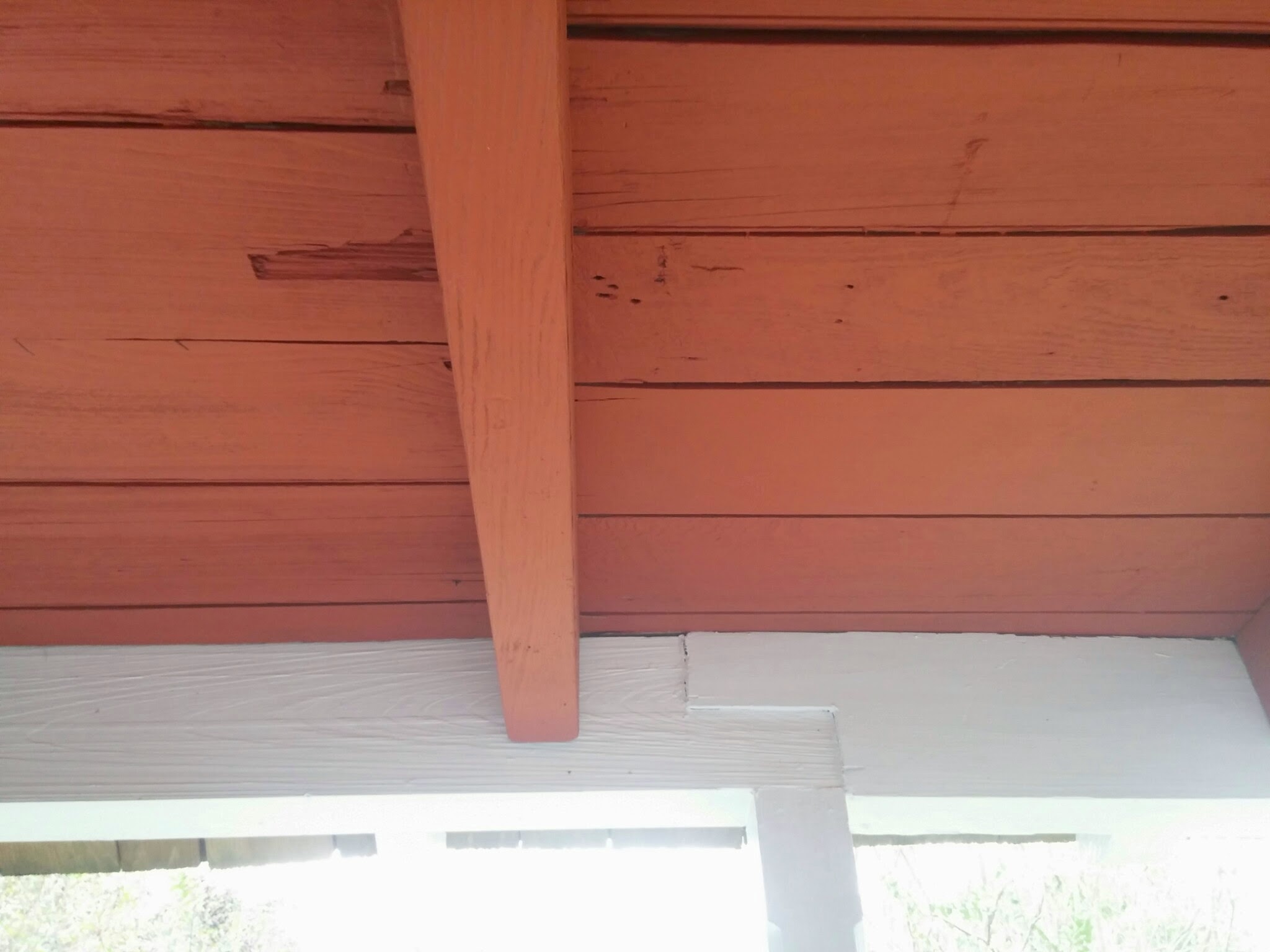 A painted eave with exposed rafters